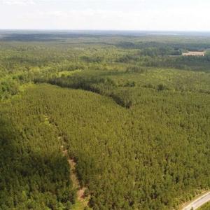 Photo of 98 Acres of Timber and Hunting Land for Sale in King and Queen Co. VA!