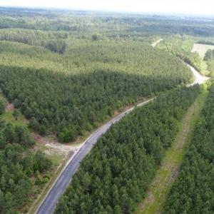 Photo of 98 Acres of Timber and Hunting Land for Sale in King and Queen Co. VA!