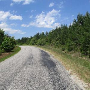 Photo of 98 Acres of Timber and Hunting Land for Sale in King and Queen Co. VA!