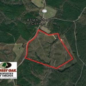 Photo of 98 Acres of Timber and Hunting Land for Sale in King and Queen Co. VA!