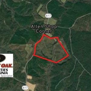 Photo of 98 Acres of Timber and Hunting Land for Sale in King and Queen Co. VA!