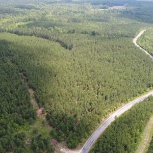 Photo of 98 Acres of Timber and Hunting Land for Sale in King and Queen Co. VA!