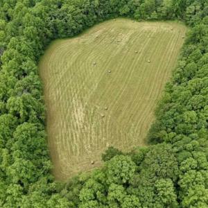 Photo of SOLD!!  54 Acres of Hunting and Recreational Land For Sale in Franklin County VA!