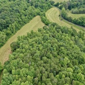Photo of SOLD!!  54 Acres of Hunting and Recreational Land For Sale in Franklin County VA!