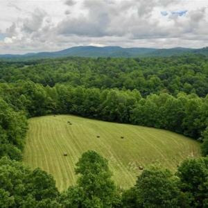 Photo of SOLD!!  54 Acres of Hunting and Recreational Land For Sale in Franklin County VA!
