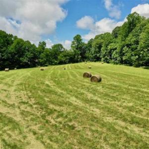 Photo of SOLD!!  54 Acres of Hunting and Recreational Land For Sale in Franklin County VA!