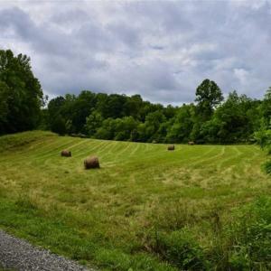 Photo of SOLD!!  54 Acres of Hunting and Recreational Land For Sale in Franklin County VA!
