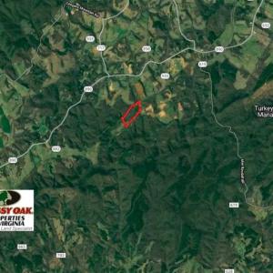 Photo of SOLD!!  54 Acres of Hunting and Recreational Land For Sale in Franklin County VA!