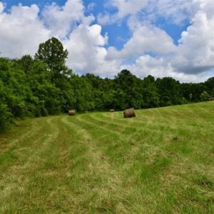 Photo of SOLD!!  54 Acres of Hunting and Recreational Land For Sale in Franklin County VA!
