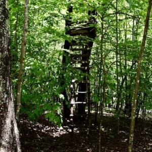 Photo of SOLD!!  54 Acres of Hunting and Recreational Land For Sale in Franklin County VA!