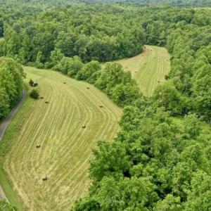 Photo of SOLD!!  54 Acres of Hunting and Recreational Land For Sale in Franklin County VA!
