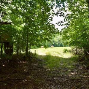 Photo of SOLD!!  54 Acres of Hunting and Recreational Land For Sale in Franklin County VA!