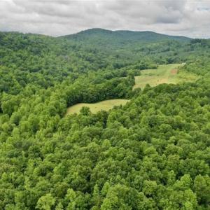 Photo of SOLD!!  54 Acres of Hunting and Recreational Land For Sale in Franklin County VA!