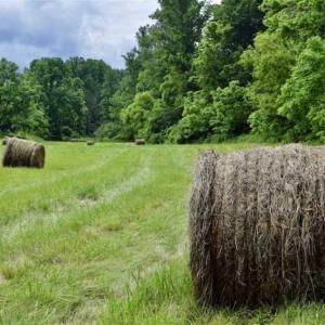 Photo of SOLD!!  54 Acres of Hunting and Recreational Land For Sale in Franklin County VA!