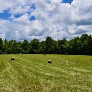Photo of SOLD!!  54 Acres of Hunting and Recreational Land For Sale in Franklin County VA!