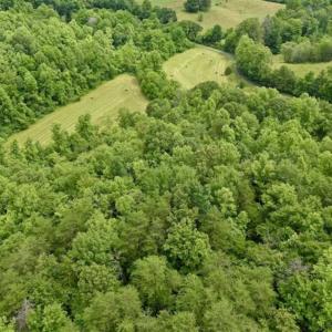 Photo of SOLD!!  54 Acres of Hunting and Recreational Land For Sale in Franklin County VA!