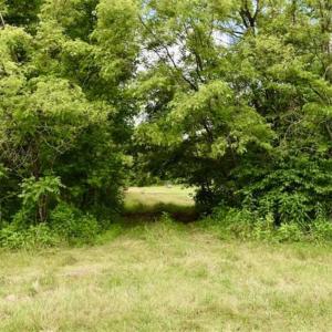 Photo of SOLD!!  54 Acres of Hunting and Recreational Land For Sale in Franklin County VA!