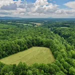 Photo of SOLD!!  54 Acres of Hunting and Recreational Land For Sale in Franklin County VA!