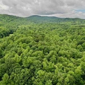 Photo of SOLD!!  54 Acres of Hunting and Recreational Land For Sale in Franklin County VA!