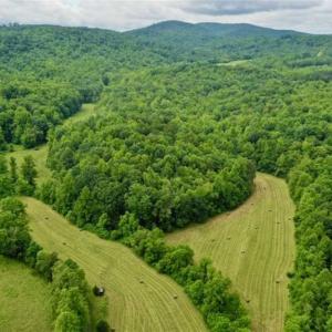 Photo of SOLD!!  54 Acres of Hunting and Recreational Land For Sale in Franklin County VA!