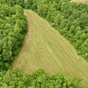 Photo of SOLD!!  54 Acres of Hunting and Recreational Land For Sale in Franklin County VA!