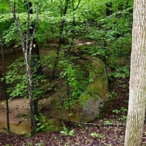 Photo of SOLD!!  54 Acres of Hunting and Recreational Land For Sale in Franklin County VA!