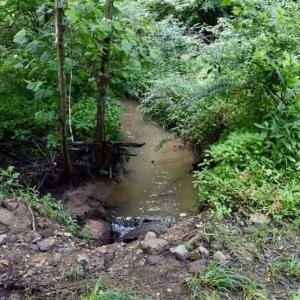 Photo of SOLD!!  54 Acres of Hunting and Recreational Land For Sale in Franklin County VA!