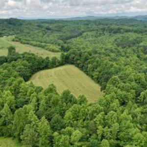 Photo of SOLD!!  54 Acres of Hunting and Recreational Land For Sale in Franklin County VA!