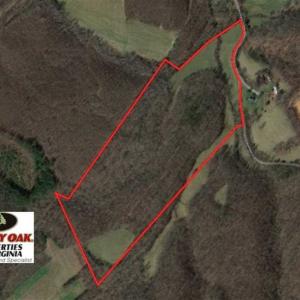 Photo of SOLD!!  54 Acres of Hunting and Recreational Land For Sale in Franklin County VA!