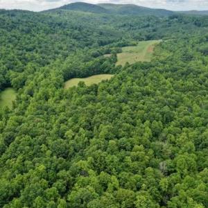 Photo of SOLD!!  54 Acres of Hunting and Recreational Land For Sale in Franklin County VA!