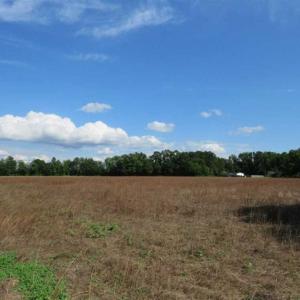 Photo of SOLD!!  19 Acres of Farm Land For Sale in Robeson County NC!