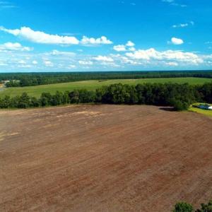 Photo of SOLD!!  19 Acres of Farm Land For Sale in Robeson County NC!