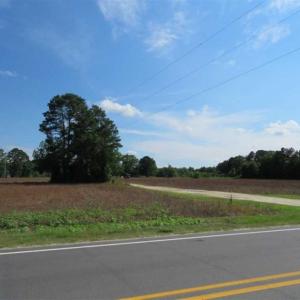 Photo of SOLD!!  19 Acres of Farm Land For Sale in Robeson County NC!