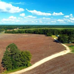Photo of SOLD!!  19 Acres of Farm Land For Sale in Robeson County NC!
