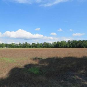 Photo of SOLD!!  19 Acres of Farm Land For Sale in Robeson County NC!