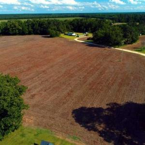 Photo of SOLD!!  19 Acres of Farm Land For Sale in Robeson County NC!