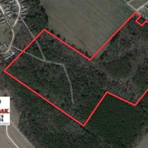 Photo of SOLD!!  38 Acres of Timber and Hunting Land For Sale in Accomack County VA!