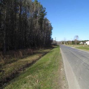 Photo of SOLD!!  38 Acres of Timber and Hunting Land For Sale in Accomack County VA!