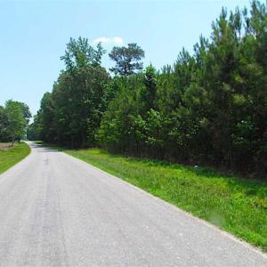 Photo of SOLD!!  16 Acres of Hunting Land For Sale in Southampton County VA!