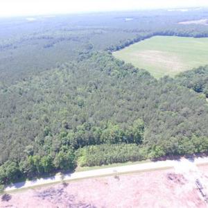 Photo of SOLD!!  16 Acres of Hunting Land For Sale in Southampton County VA!