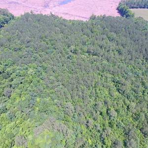Photo of SOLD!!  16 Acres of Hunting Land For Sale in Southampton County VA!