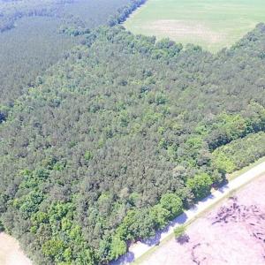 Photo of SOLD!!  16 Acres of Hunting Land For Sale in Southampton County VA!