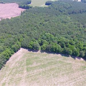 Photo of SOLD!!  16 Acres of Hunting Land For Sale in Southampton County VA!