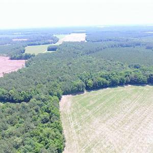 Photo of SOLD!!  16 Acres of Hunting Land For Sale in Southampton County VA!