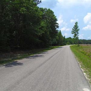 Photo of SOLD!!  16 Acres of Hunting Land For Sale in Southampton County VA!