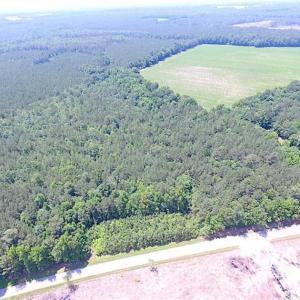 Photo of SOLD!!  16 Acres of Hunting Land For Sale in Southampton County VA!