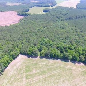 Photo of SOLD!!  16 Acres of Hunting Land For Sale in Southampton County VA!