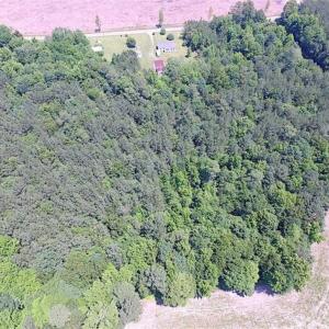 Photo of SOLD!!  5 Acres of Hunting Land of Southampton County VA!