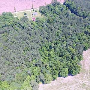 Photo of SOLD!!  5 Acres of Hunting Land of Southampton County VA!