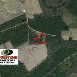Photo of SOLD!!  5 Acres of Hunting Land of Southampton County VA!